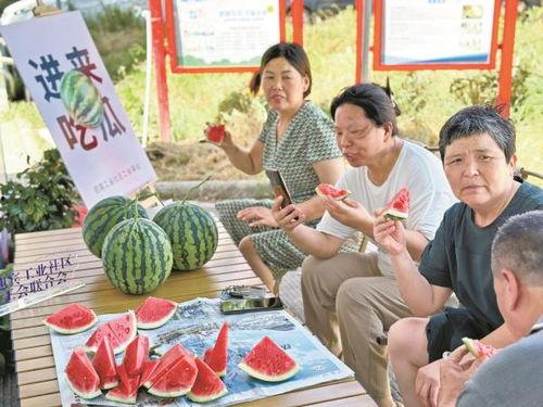 北仑吃瓜,瓜果飘香,品味生活新篇章 第2张 北仑吃瓜,瓜果飘香,品味生活新篇章 第2张